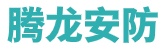 腾龙公司